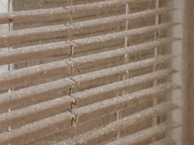 Professional blind cleaning service